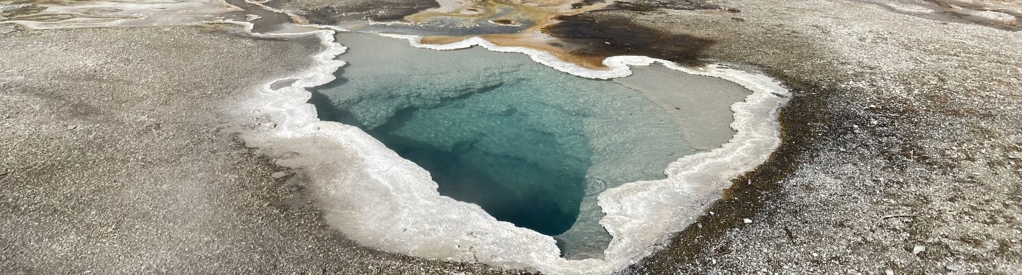 Christy Clutter, PhD